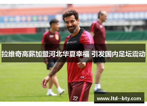 拉维奇高薪加盟河北华夏幸福 引发国内足坛震动 拉维奇高薪加盟河北华夏幸福 引发国内足坛震动